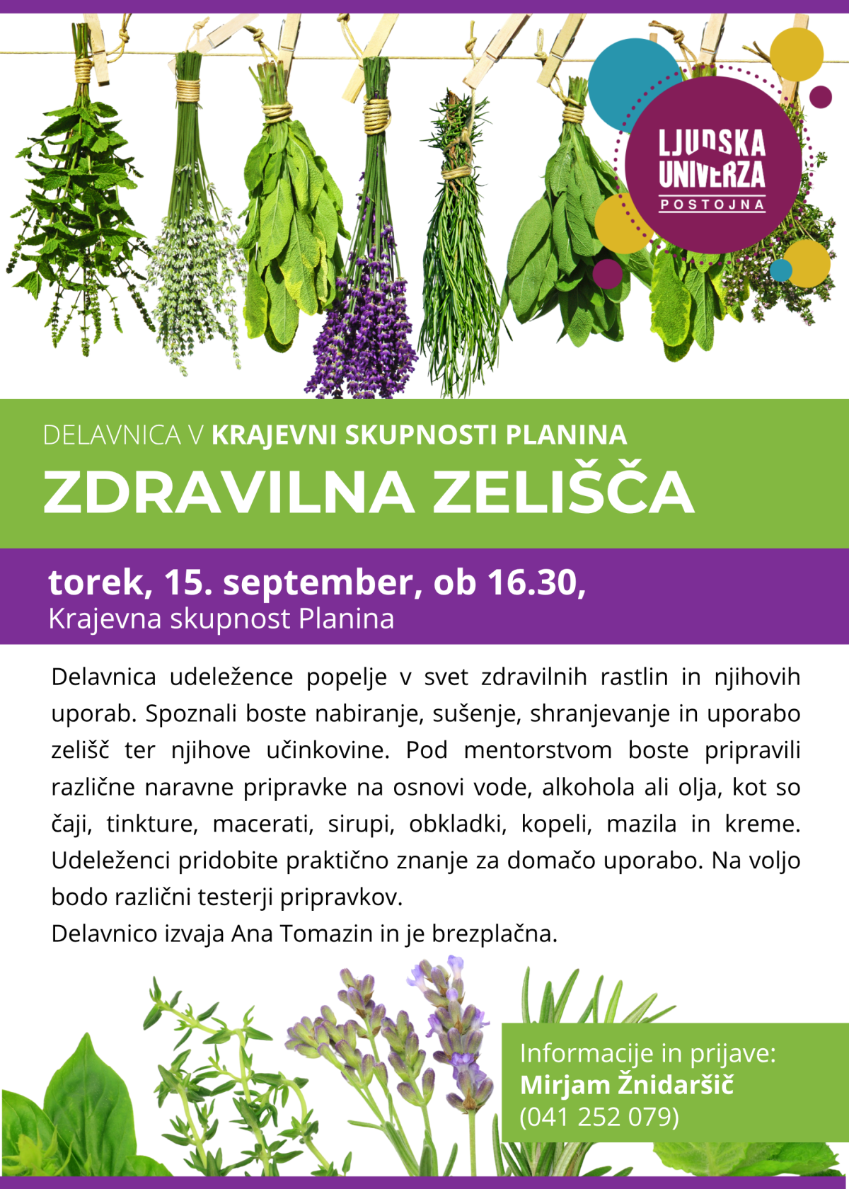 zdravilna zelišča_Planina